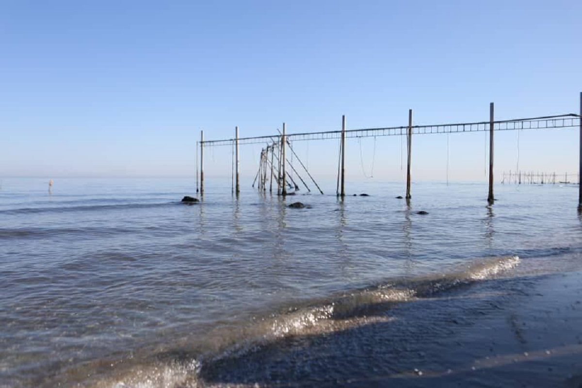 رفع تصرف سواحل گیلان