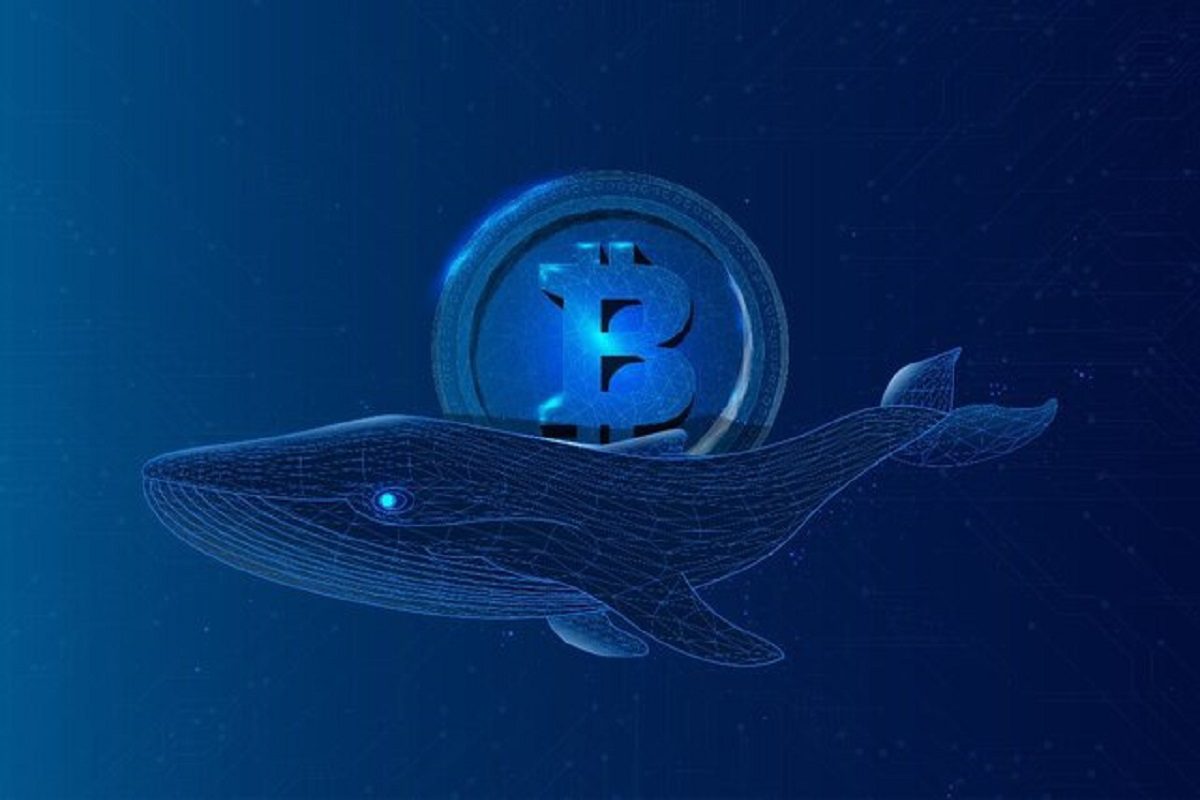 مهاجرت نهنگهای بیتکوین