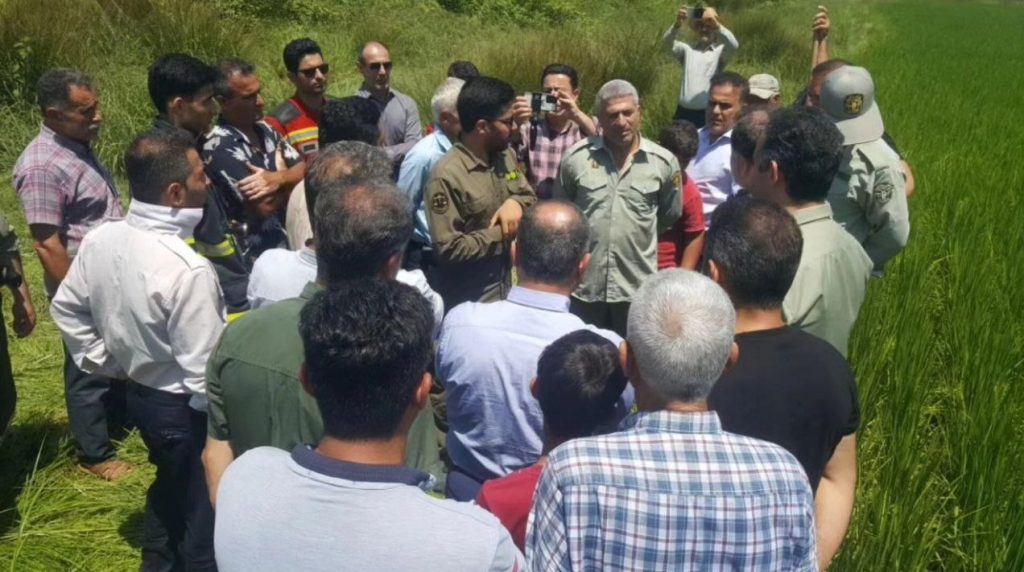 مار غول پیکر در گیلان