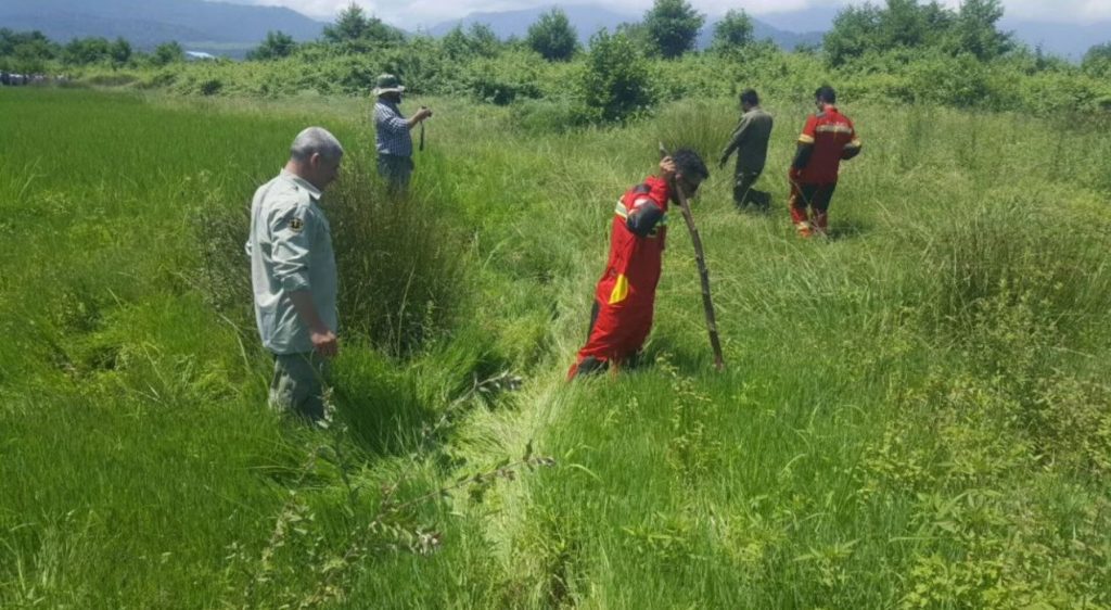 مار غول پیکر در گیلان