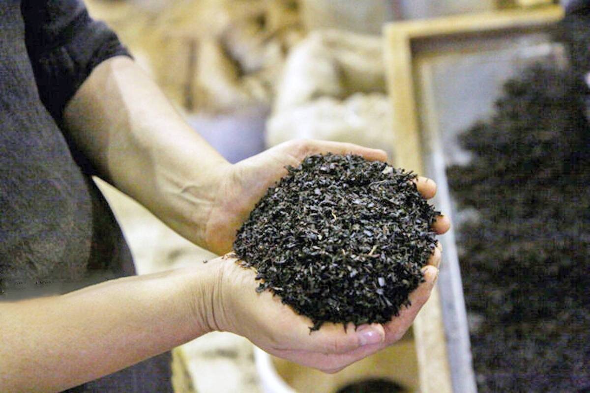 پای آقازاده ها به اختلاس دبش