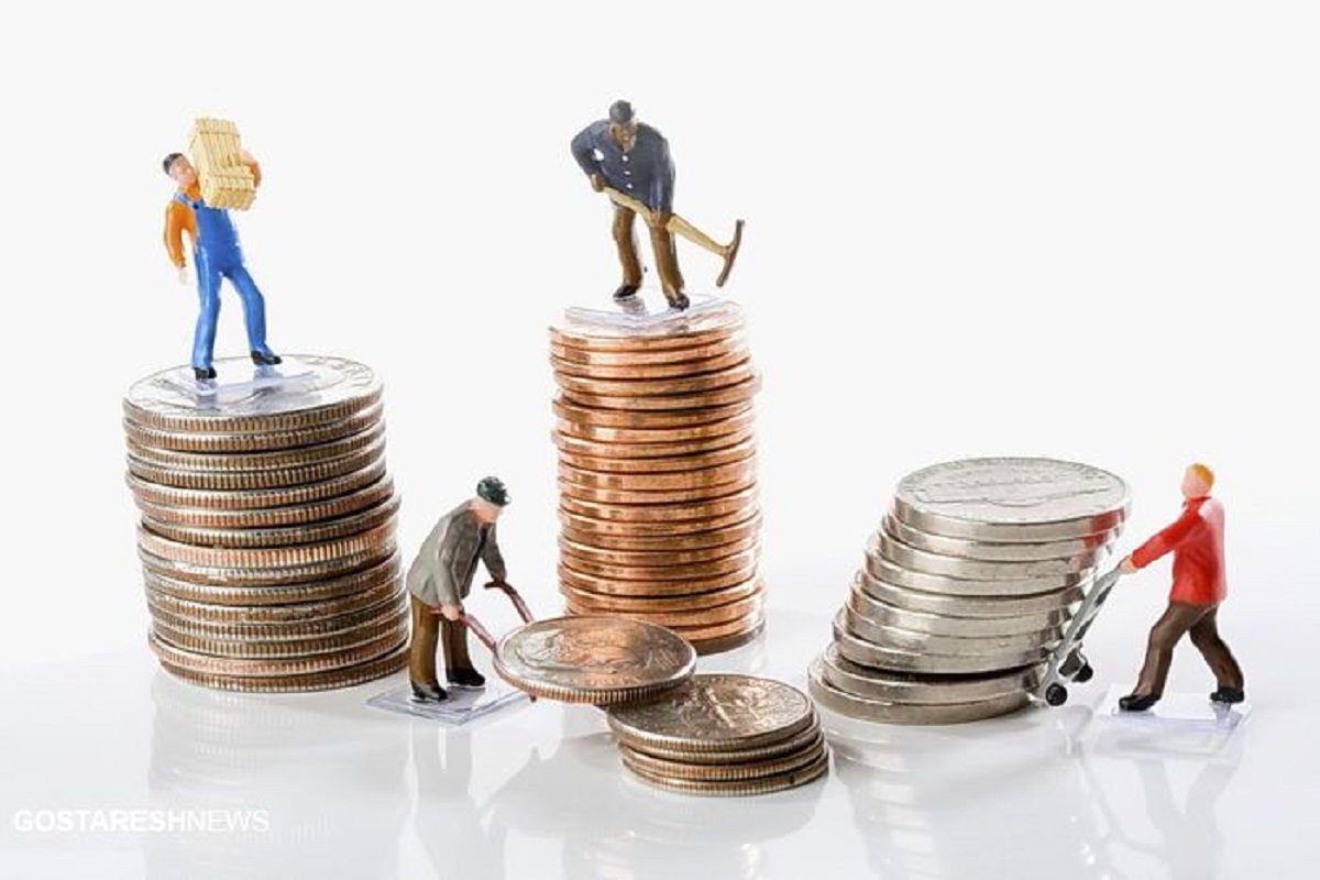 زیان خصوصی سازی