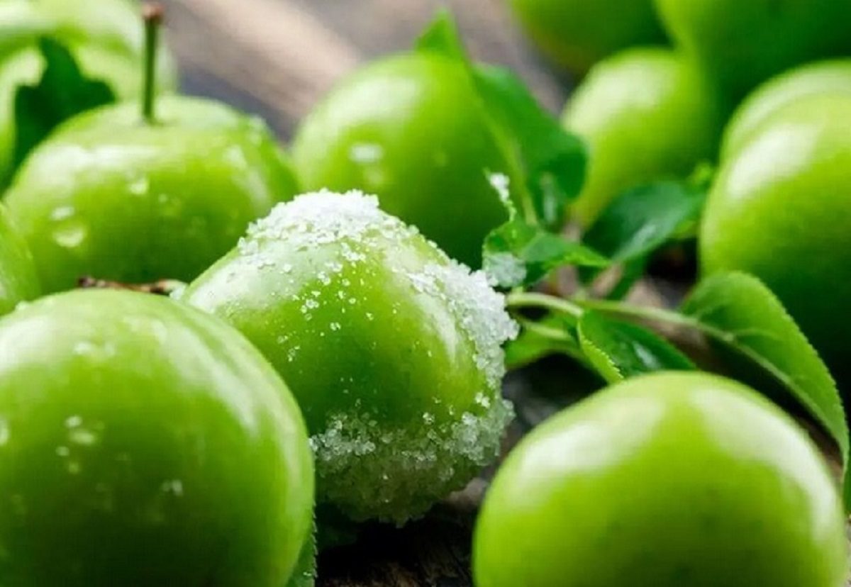 قیمت نوبرانه ها