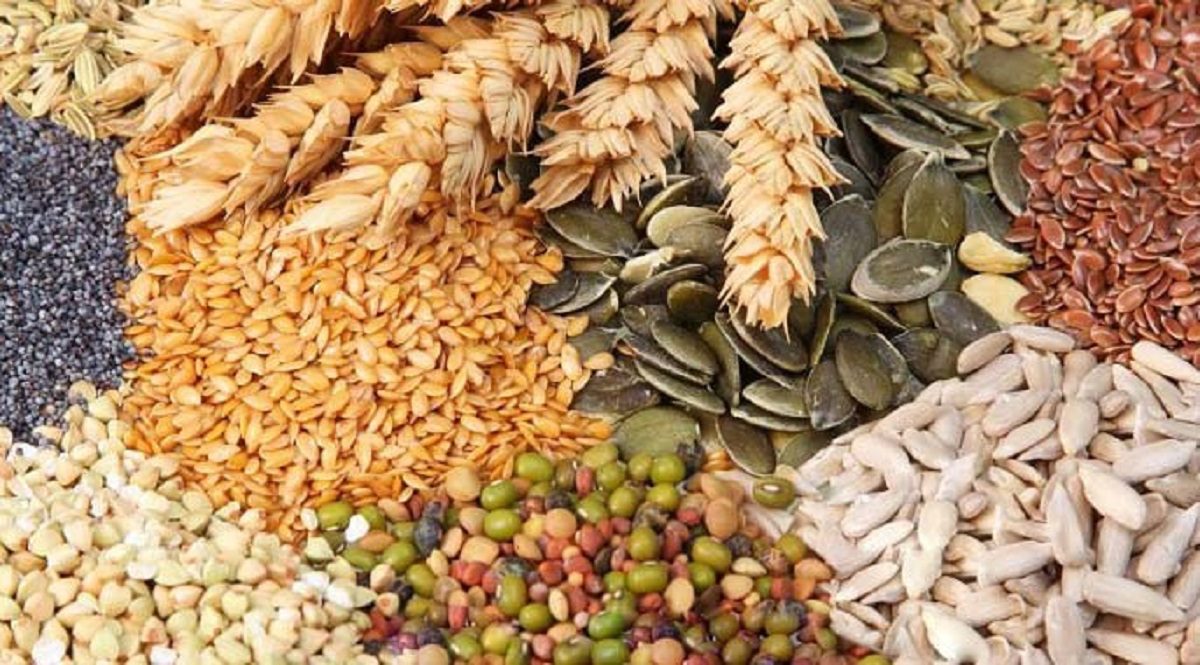 قیمت خرید تضمینی دانه های روغنی