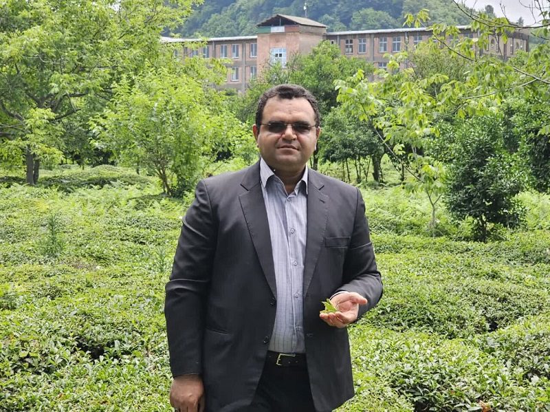 هادی امیدی نایب رئیس صندوق چای