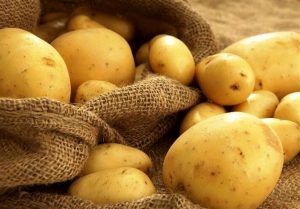 صادرات سیب زمینی