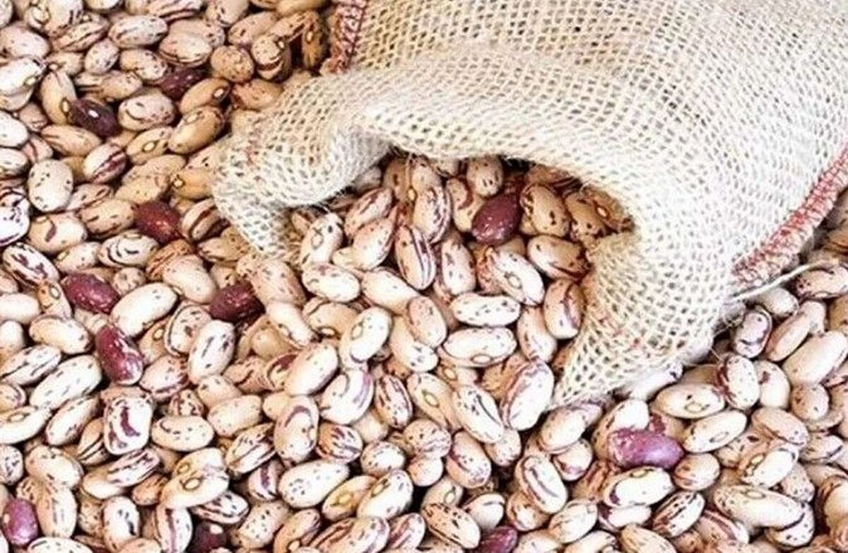 قیمت واقعی لوبیا چیتی