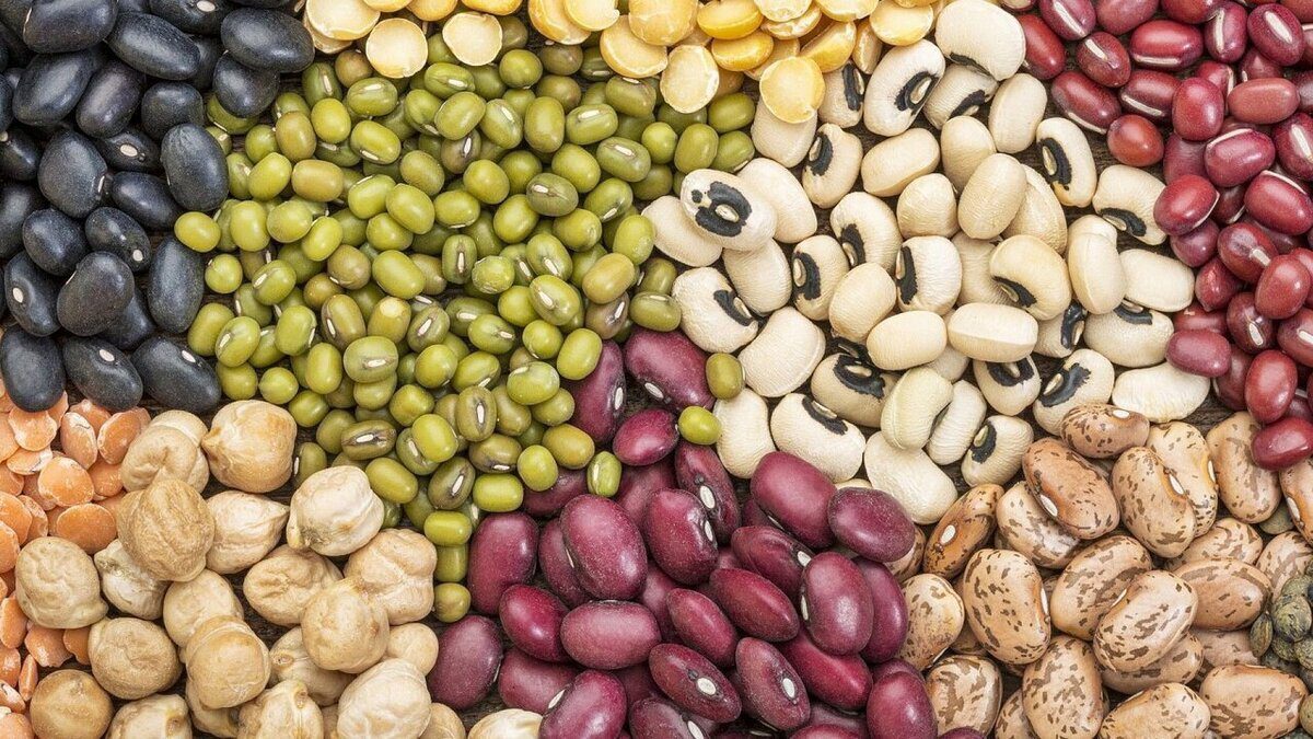 قیمت حبوبات در نیمه مهر ۱۴۰۴