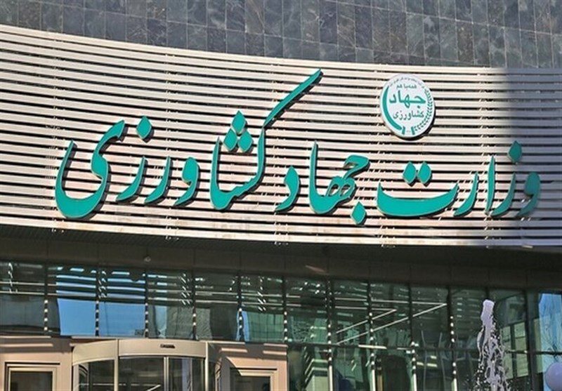 تکذیب ریختن برنج به دریا