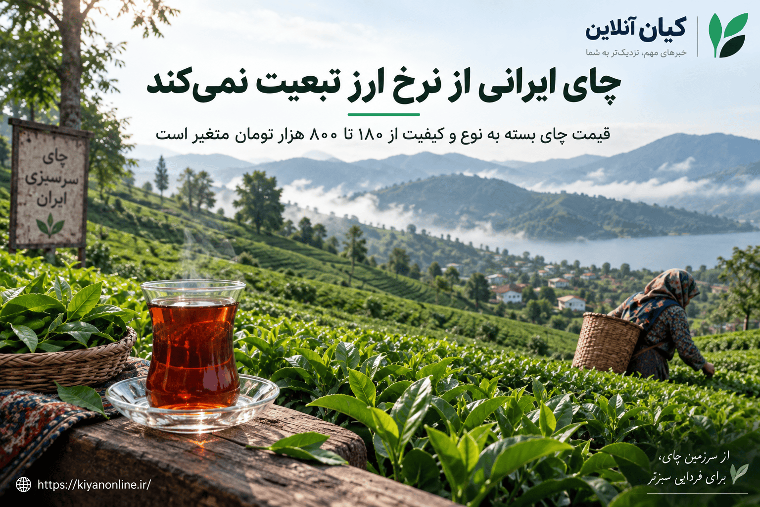 قیمت چای ایرانی