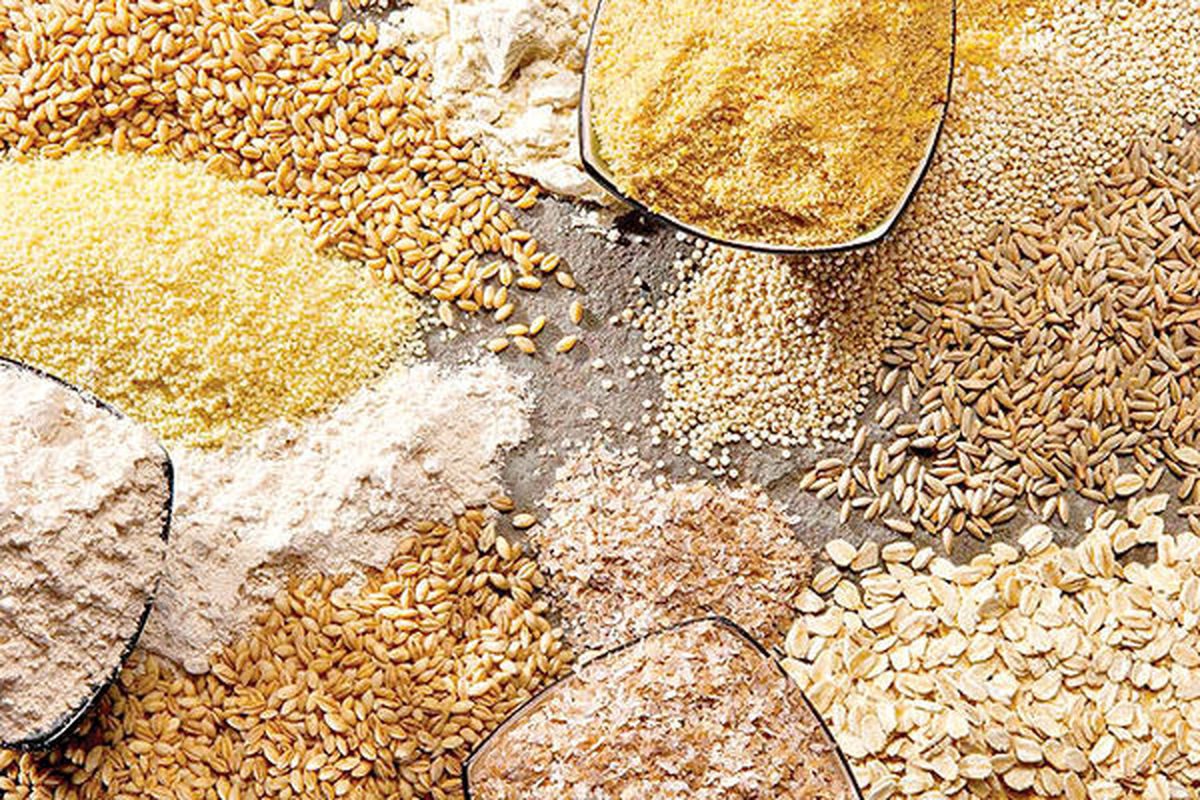 ضوابط واردات نهاده‌ های دامی