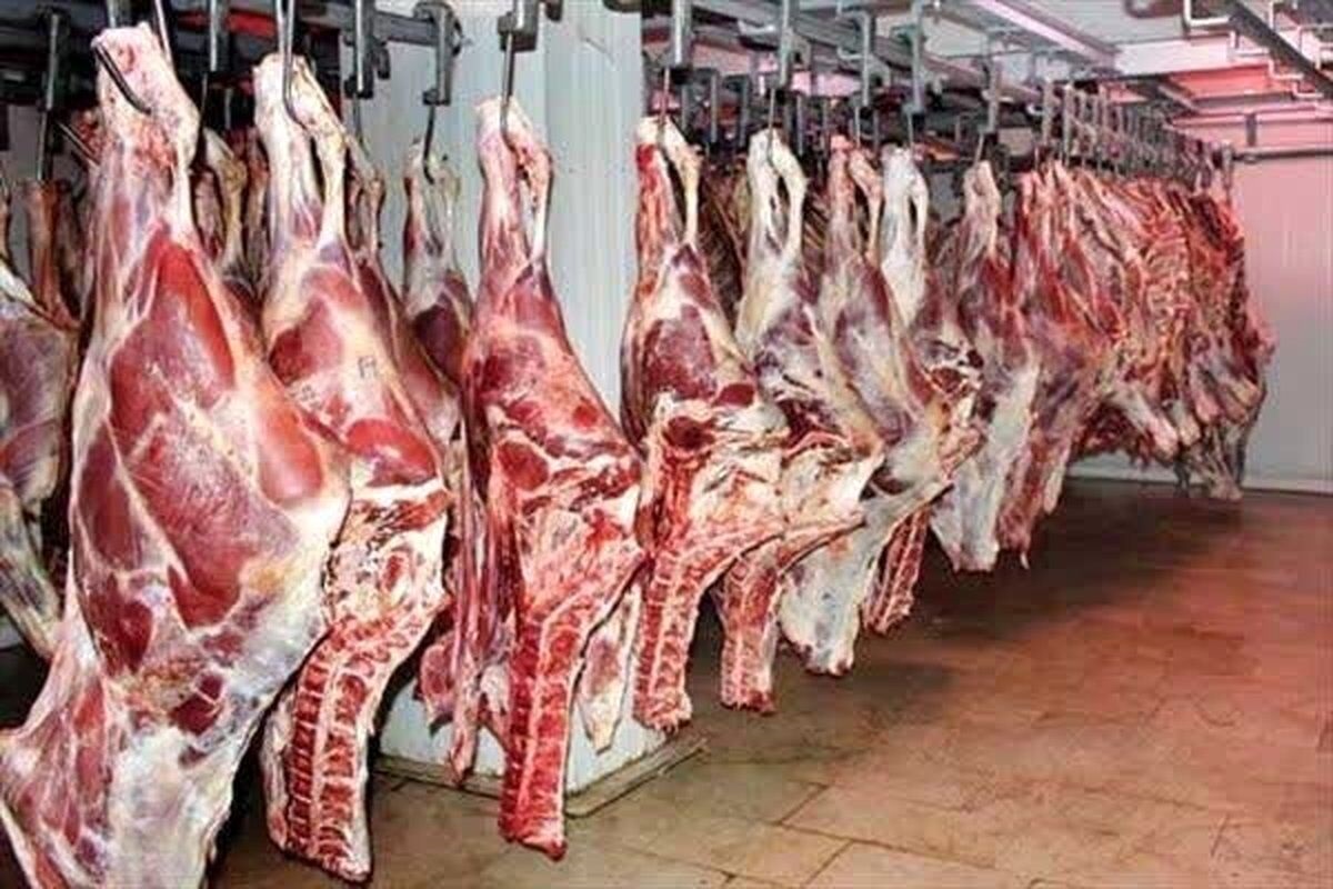 کاهش عرضه گوشت قرمز