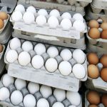 تخم‌مرغ دوباره گران شد