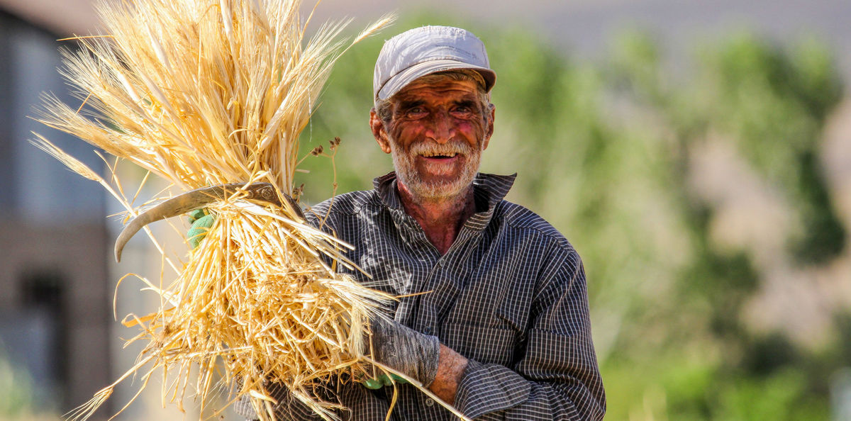 خرید تضمینی 32 قلم کالای کشاورزی