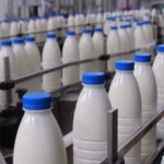 ماست و پنیر گران شدند!