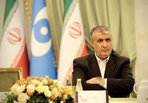 واکنش اسلامی به قطعنامه شورای حکام