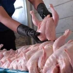 قیمت جدید مرغ در بازار اعلام شد