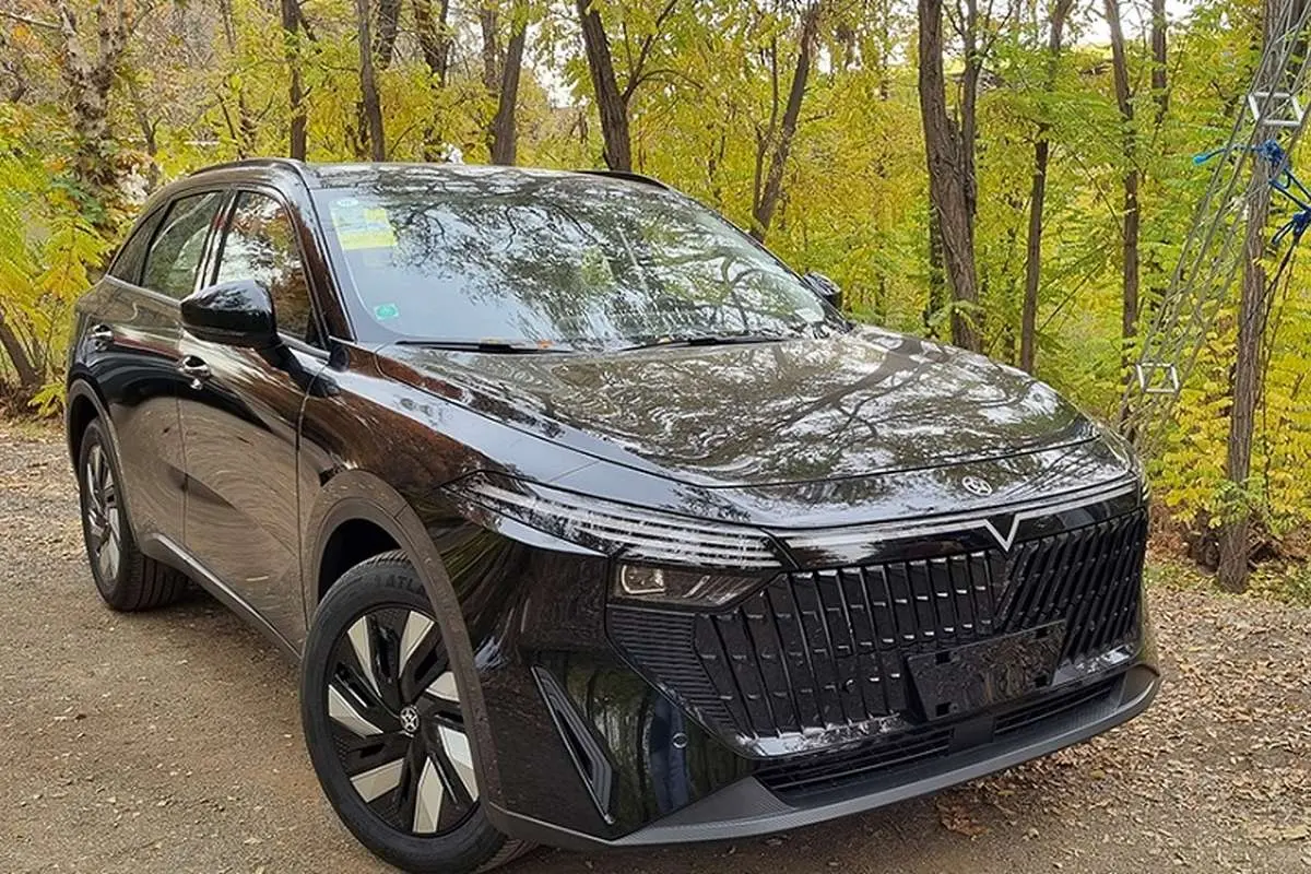 عرضه محصولات برند ونوسیا