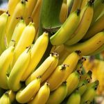 توقف واردات موز تکذیب شد