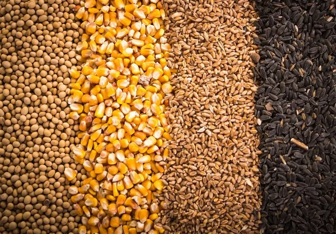 وضعیت نهاده دامی کشور