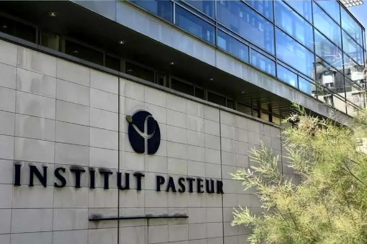 خسارت جنگ به پاستور