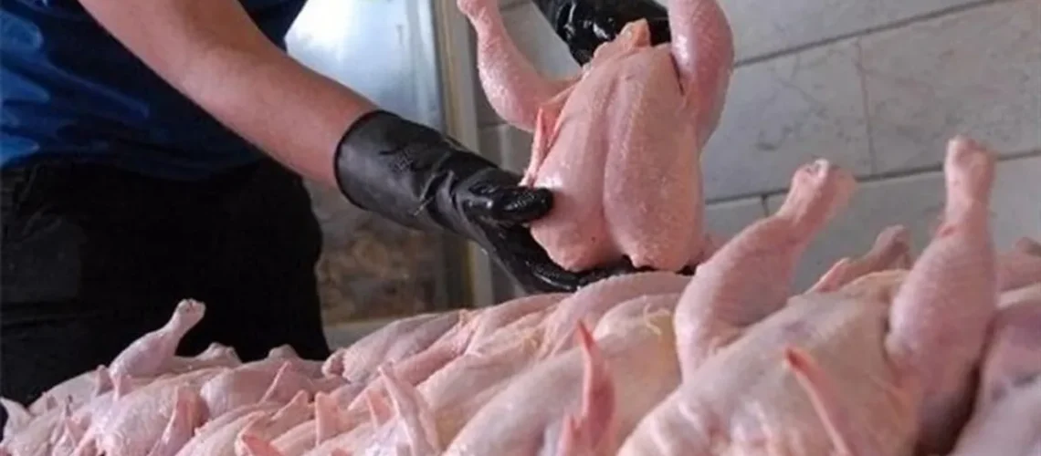 کاهش قیمت مرغ