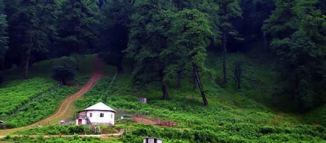 اقامت در شرایط بحرانی اقامت در شرایط بحرانی