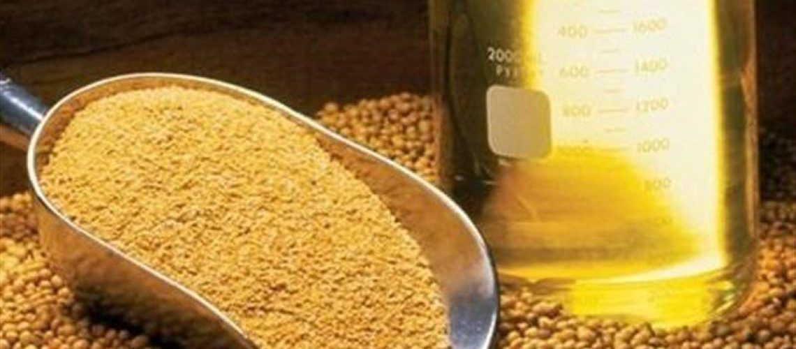 واردات روغن خام