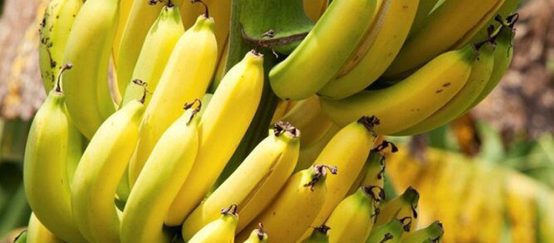 توقف واردات موز