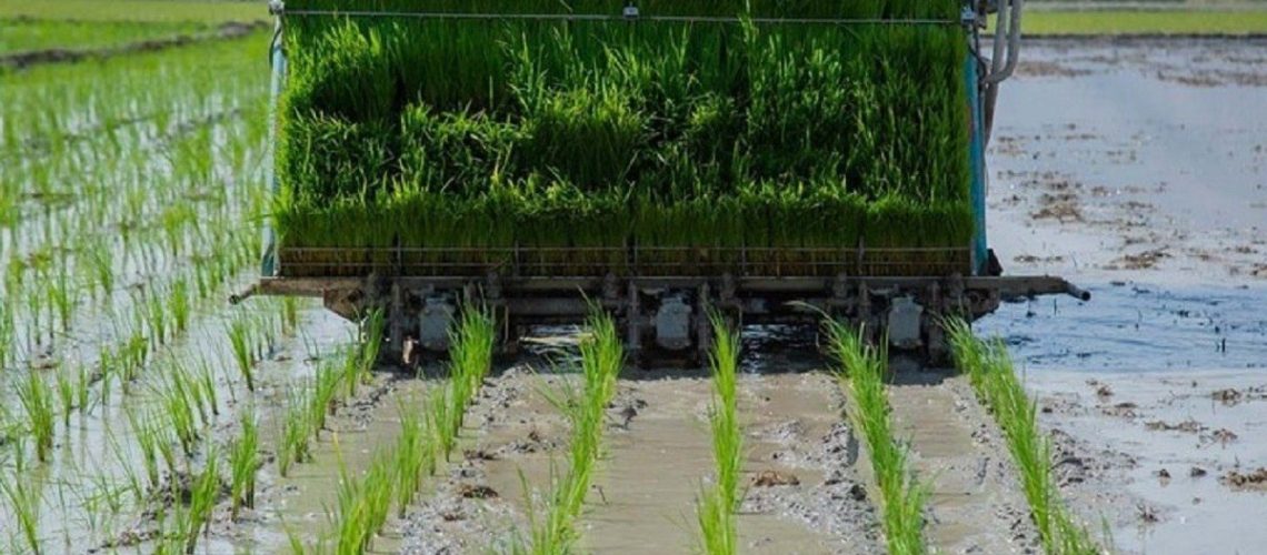 عدم استقبال از کشت رباتیک