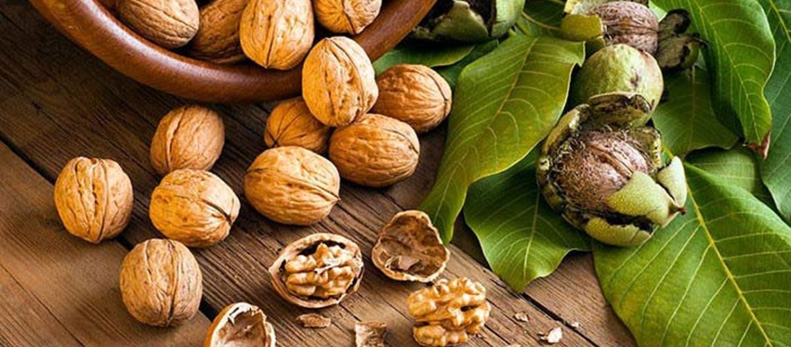 قطب طلای سبز کشور چشم انتظار حمایت های بیمه کشاورزی