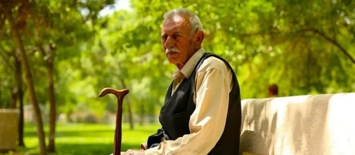 بازنشسته13