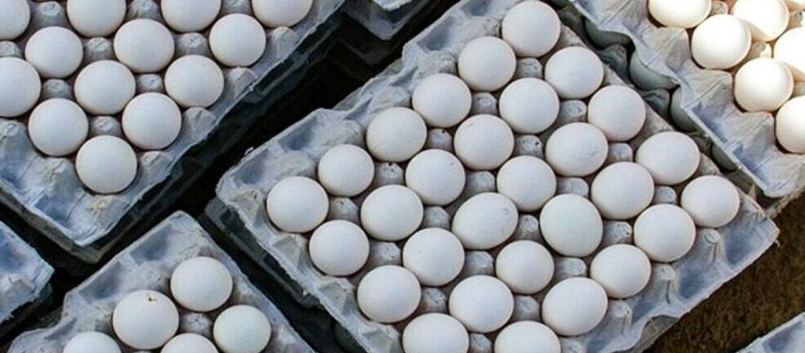 قیمت مصوب تخم مرغ