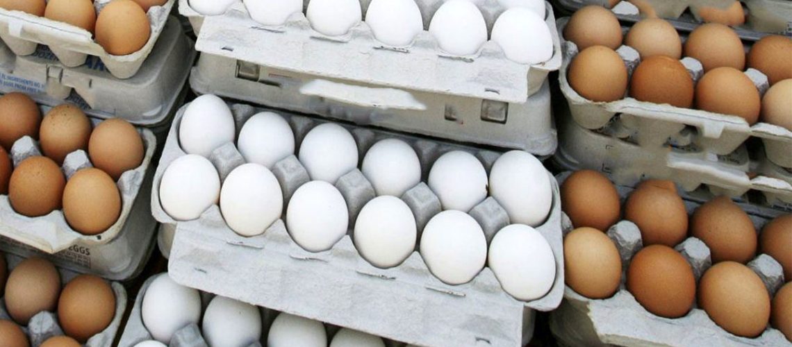 افزایش هر شانه تخم‌ مرغ