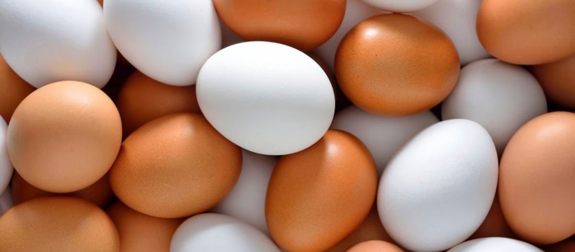 قیمت تخم مرغ فله