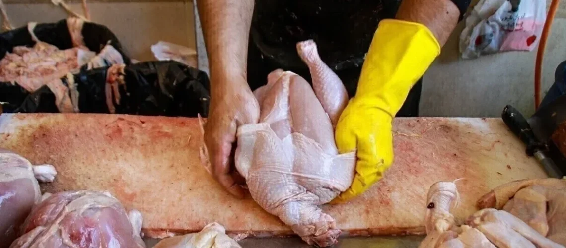 مرغ