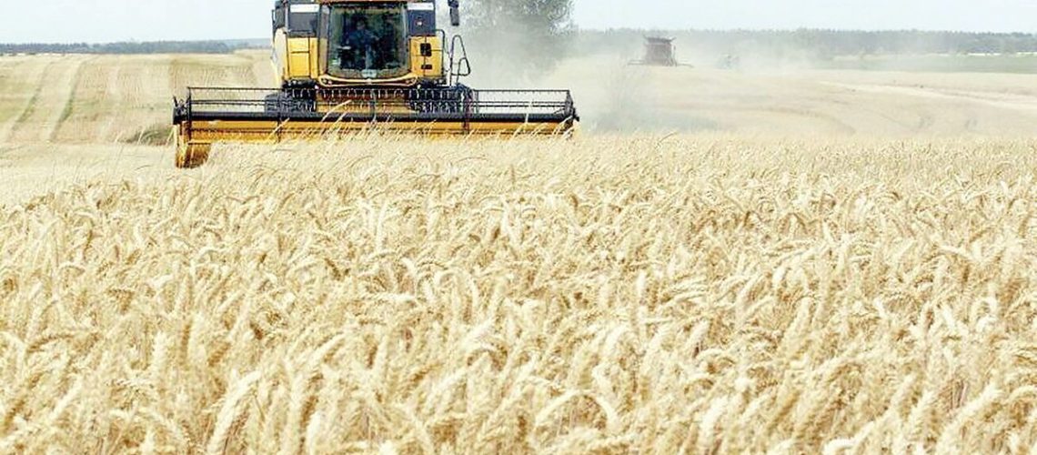 نرخ خرید تضمینی گندم